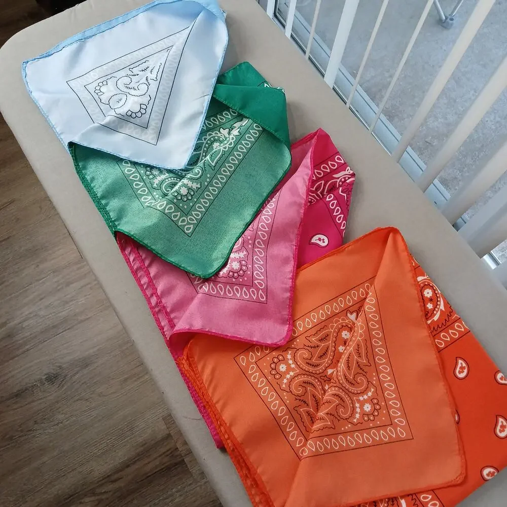 Set of 5 Paisley Printed Bandanas 22